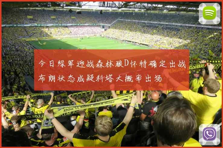 今日绿军迎战森林狼D怀特确定出战布朗状态成疑科塔大概率出场