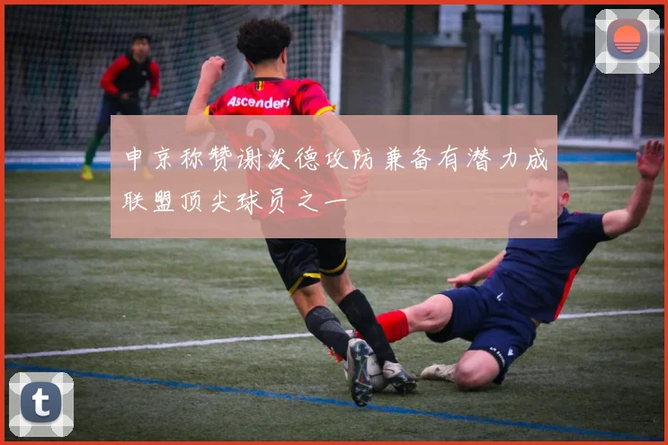申京称赞谢泼德攻防兼备有潜力成联盟顶尖球员之一