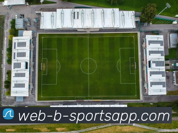 B体育平台生态图